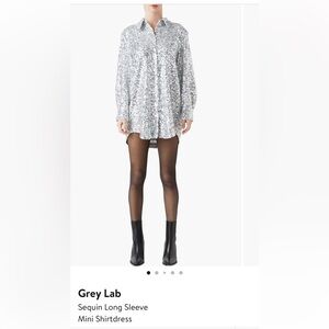 GREY LAB Silver Sequin Mini Dress